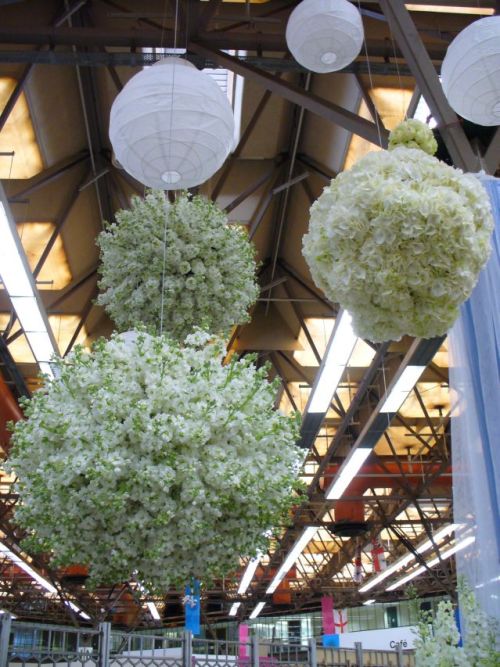 Hanging balls of flowers at Moyses Stevens